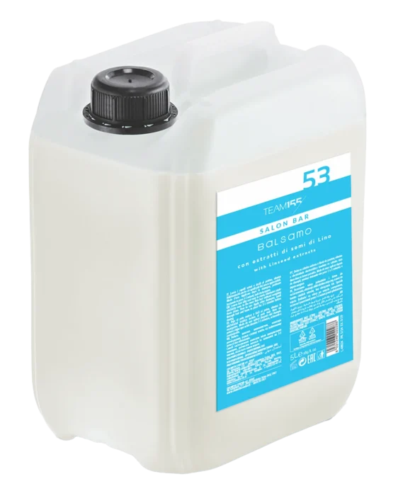 53 ANTI – FRIZZ CONDITIONER